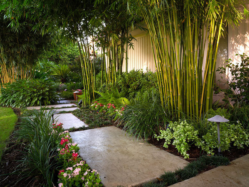 گیاهان در طراحی فضای سبز