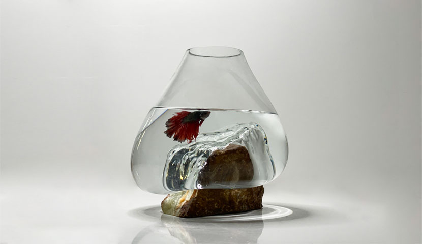 تنگ ماهی شیشه ای مرمریت لاویا 120211