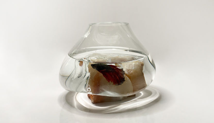 تنگ ماهی شیشه ای با سنگ مرمریت 120213