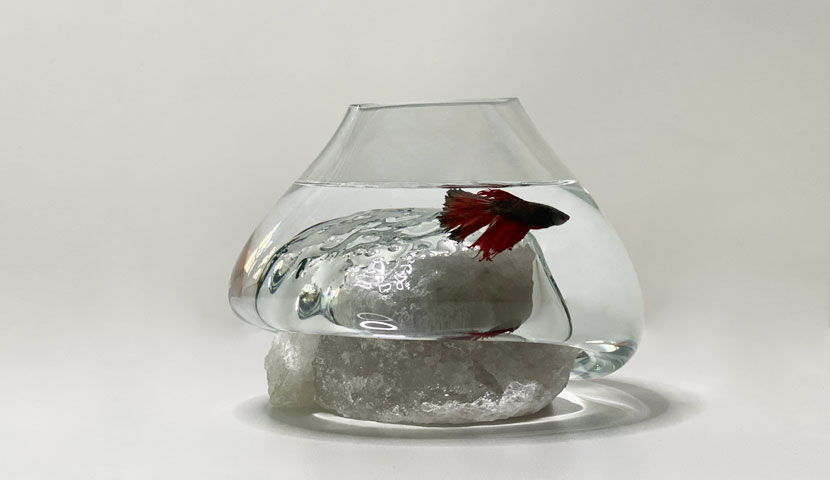 تنگ ماهی شیشه ای با پایه سنگ نمک 120225